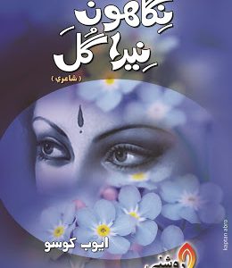 Nigahoon Nira Gul-Sindhi Poetry book by Ayoob Khoso-نگاھون نيرا گل شاعري ايوب کوسو