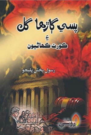 Pasi Garha Gul By Rasool Bux Palijo-Sindhi Book