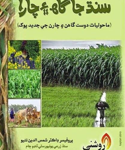 Sindh Ja Gah Aee Chara by Dr Shamsuddin Tunio-سنڌ جا گاھ ۽ چارا