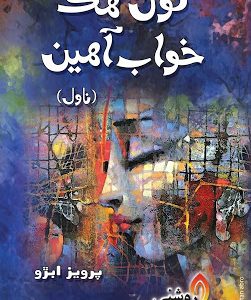 Ton Hik Khawab Ahen-Sindhi Novel-Parvez Abro-تون ھڪ خواب آھين سنڌي ناول ليکڪ پرويز ابڙو